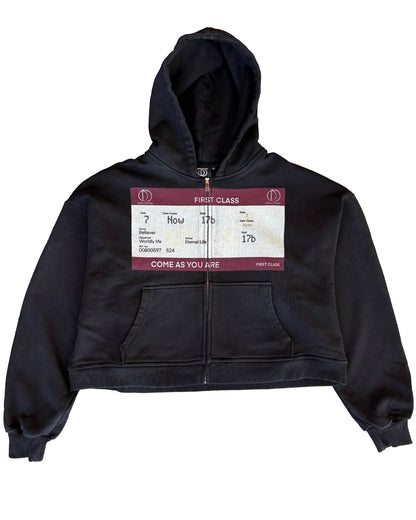 BELIEVER'S TICKET ZIP-UP
